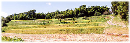 takayama